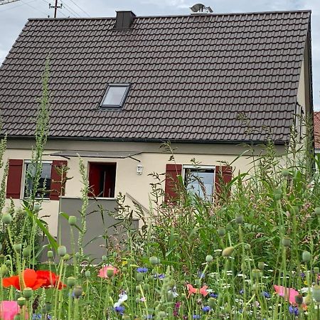 Ferienhaus Bei Lauingen, Mit Sauna Und Gartenlounge Veitriedhausen Dış mekan fotoğraf