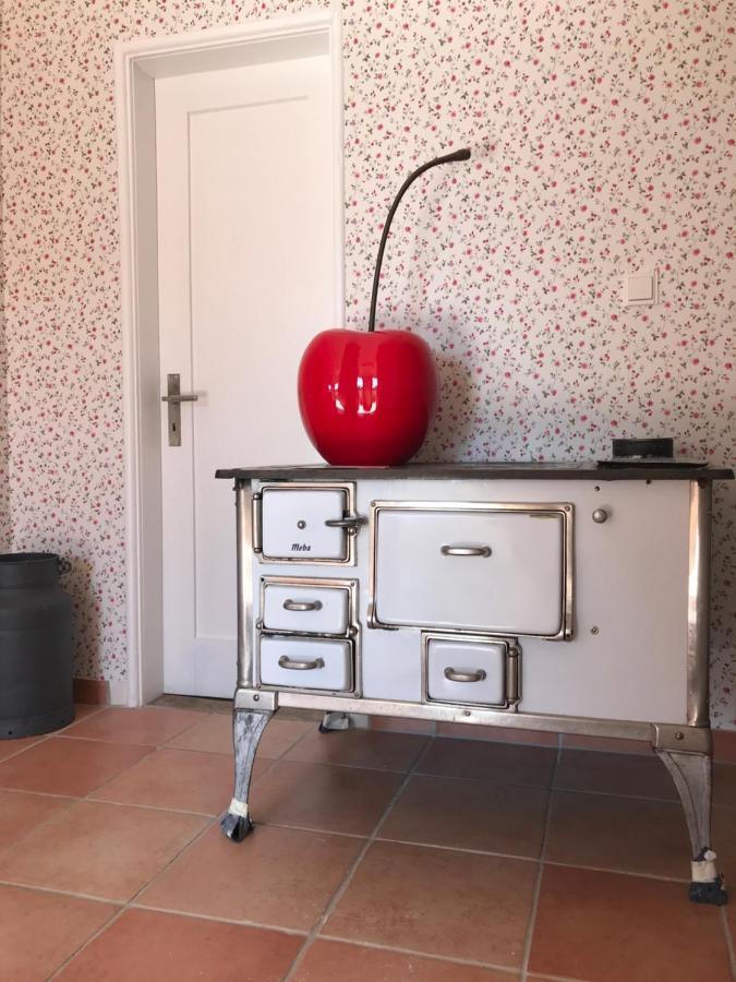 Ferienhaus Bei Lauingen, Mit Sauna Und Gartenlounge Veitriedhausen Dış mekan fotoğraf
