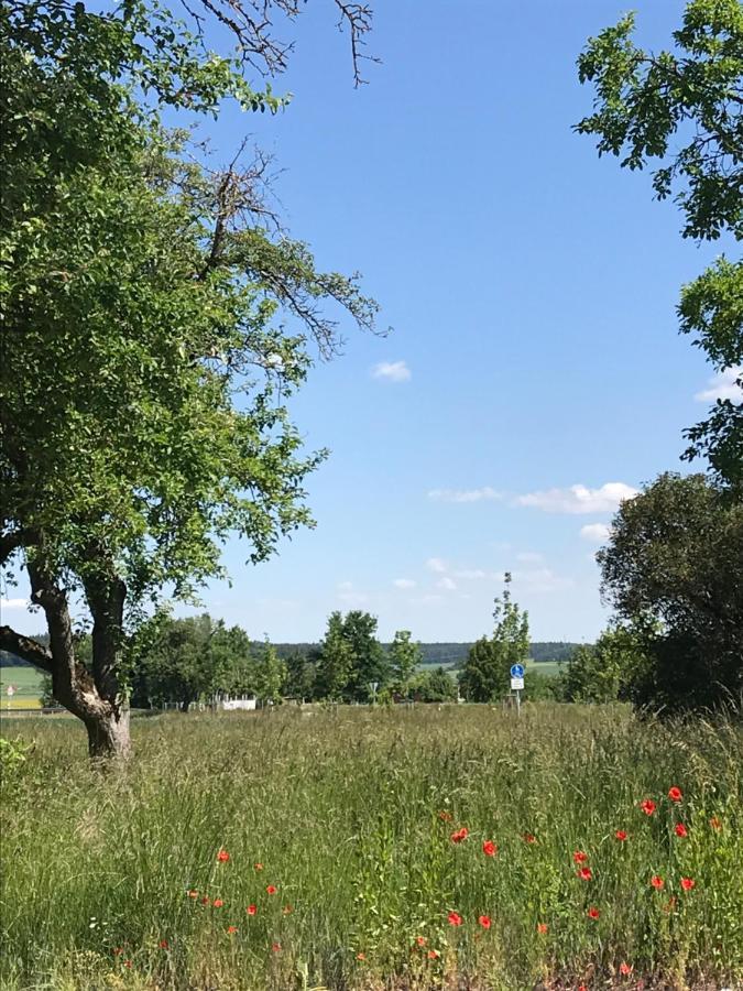 Ferienhaus Bei Lauingen, Mit Sauna Und Gartenlounge Veitriedhausen Dış mekan fotoğraf