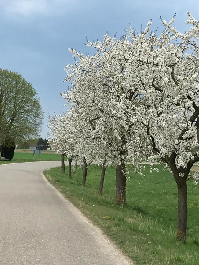Ferienhaus Bei Lauingen, Mit Sauna Und Gartenlounge Veitriedhausen Dış mekan fotoğraf