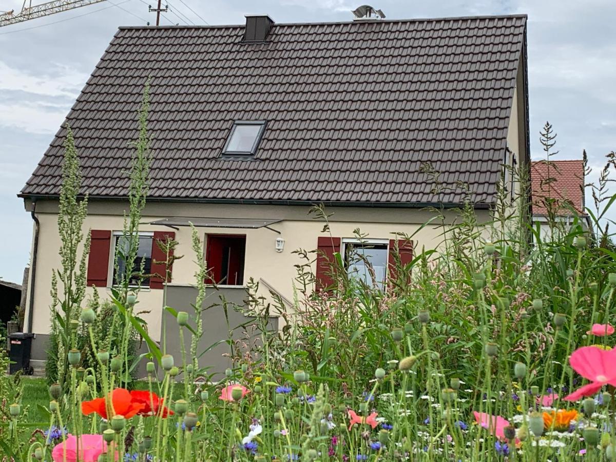 Ferienhaus Bei Lauingen, Mit Sauna Und Gartenlounge Veitriedhausen Dış mekan fotoğraf